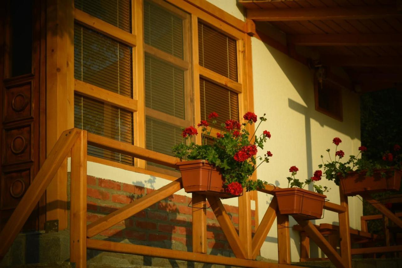 Sunset House Apartment Ohrid Exterior photo